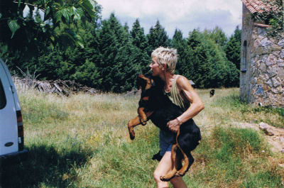 rottweiler