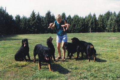 rottweiler